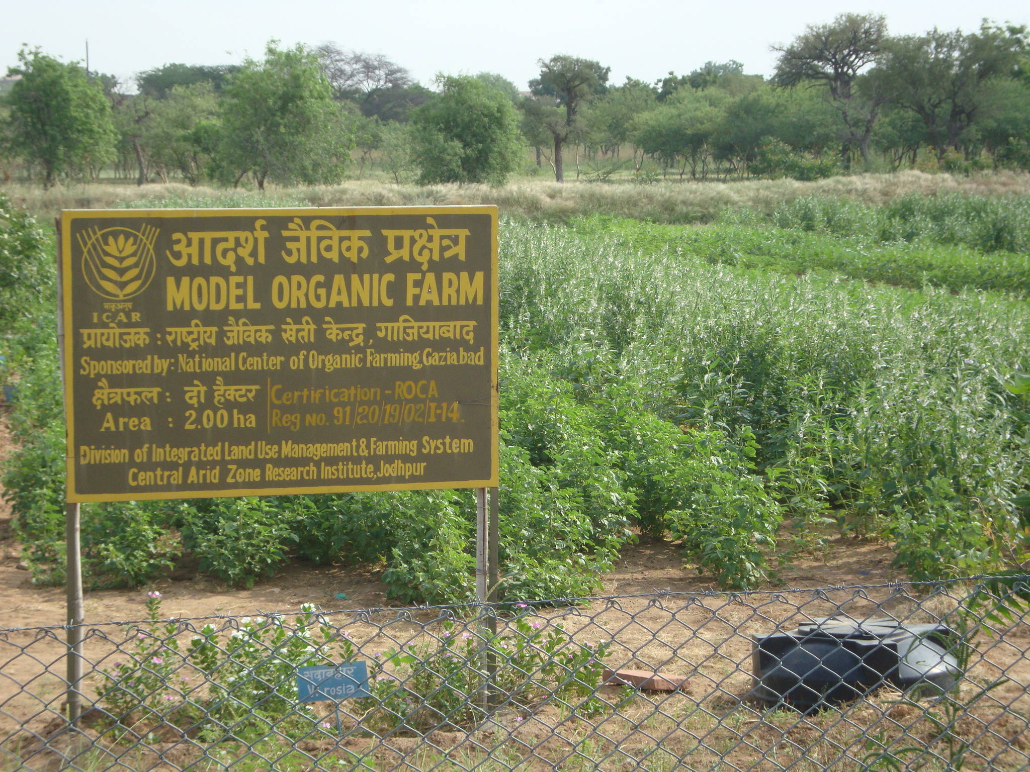 Central arid zone research institute